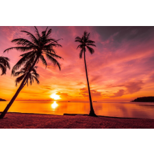  Öntapadó és mosható fali tapéta Palmieri26, 300 x 200 cm tapéta, díszléc és más dekoráció