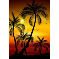  Öntapadó és mosható fali tapéta Palmieri8, 150 x 205 cm tapéta, díszléc és más dekoráció