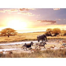  Öntapadó és mosható fali tapéta Savannah animals, 400 x 250 cm tapéta, díszléc és más dekoráció