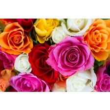  Öntapadó és mosható fali tapéta Színek robbanása, 250 x 200 cm tapéta, díszléc és más dekoráció