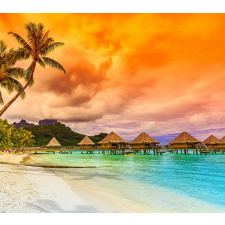  Öntapadó és mosható fali tapéta Vihar a paradicsomban, 250 x 200 cm tapéta, díszléc és más dekoráció