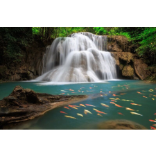  Öntapadó és mosható fali tapéta Vízesés halakkal, 300 x 200 cm tapéta, díszléc és más dekoráció