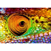  Öntapadó és mosható falikép Cameleon, 200 x 150 cm
