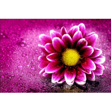  Öntapadós tapéta Daisy harmattal, 200 x 150 cm tapéta, díszléc és más dekoráció