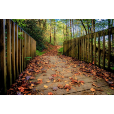  Öntapadós tapéta Erdőpadló, 250 x 150 cm tapéta, díszléc és más dekoráció