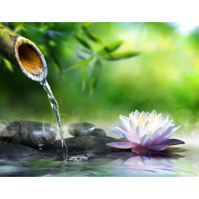  Öntapadós tapéta Fehér tavirózsa a tavon, 350 x 200 cm tapéta, díszléc és más dekoráció