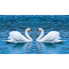  Öntapadós tapéta Hattyúk a tavon, 250 x 150 cm tapéta, díszléc és más dekoráció
