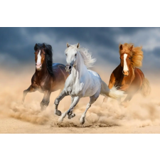  Öntapadós tapéta Horses, galopp, homok2, 250 x 150 cm tapéta, díszléc és más dekoráció