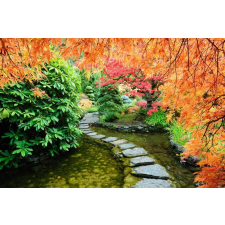  Öntapadós tapéta Japán kert 2, 300 x 250 cm tapéta, díszléc és más dekoráció