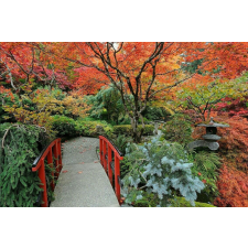 Öntapadós tapéta Japán kert 3, 250 x 150 cm tapéta, díszléc és más dekoráció