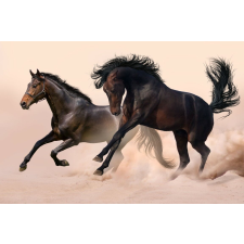  Öntapadós tapéta Két fekete ló, galopp, 350 x 200 cm tapéta, díszléc és más dekoráció
