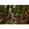  Öntapadós tapéta Kis erdei vízesés, 250 x 200 cm
