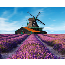  Öntapadós tapéta Lavender8, 250 x 200 cm tapéta, díszléc és más dekoráció