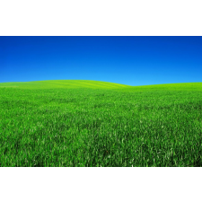  Öntapadós tapéta Natura109, 250 x 150 cm tapéta, díszléc és más dekoráció