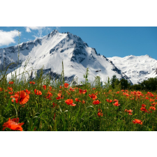  Öntapadós tapéta Natura122, 350 x 200 cm tapéta, díszléc és más dekoráció