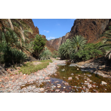  Öntapadós tapéta Natura124, 200 x 150 cm tapéta, díszléc és más dekoráció