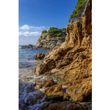  Öntapadós tapéta Natura145, 150 x 205 cm tapéta, díszléc és más dekoráció