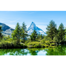  Öntapadós tapéta Natura146, 250 x 150 cm tapéta, díszléc és más dekoráció