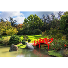  Öntapadós tapéta Natura166 Japánkert, 250 x 150 cm tapéta, díszléc és más dekoráció