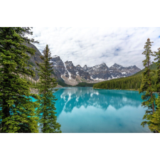  Öntapadós tapéta Natura28, 250 x 200 cm tapéta, díszléc és más dekoráció