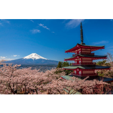  Öntapadós tapéta Natura45, 200 x 150 cm tapéta, díszléc és más dekoráció