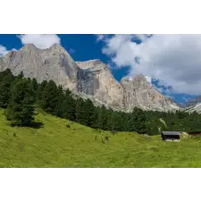  Öntapadós tapéta Natura47, 250 x 200 cm tapéta, díszléc és más dekoráció