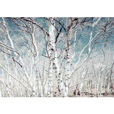  Öntapadós tapéta Nyírerdő, 250 x 200 cm tapéta, díszléc és más dekoráció