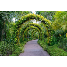  Öntapadós tapéta Padure62 virágívekkel, 350 x 200 cm tapéta, díszléc és más dekoráció