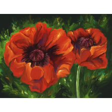  Öntapadós tapéta Pipacsok, festmény, absztrakt, 350 x 200 cm tapéta, díszléc és más dekoráció