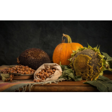  Öntapadós tapéta Rusztikus elrendezés, 350 x 250 cm tapéta, díszléc és más dekoráció