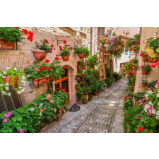  Öntapadós tapéta Street virággal, 300 x 200 cm tapéta, díszléc és más dekoráció