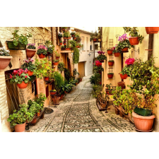  Öntapadós tapéta Street virágokkal Spellóban, Umbriában, 350 x 200 cm tapéta, díszléc és más dekoráció