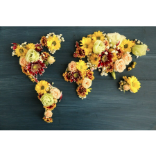  Öntapadós tapéta Virágkontinensek, 300 x 200 cm tapéta, díszléc és más dekoráció