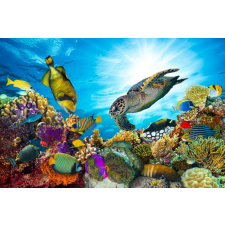  Öntapadós tapéta Vízi világ, korallzátony, 350 x 200 cm tapéta, díszléc és más dekoráció