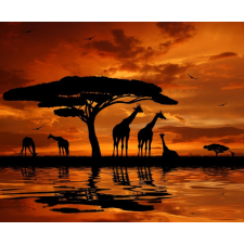  Öntapadós tapéta Zsiráfok, sunset2, 250 x 200 cm tapéta, díszléc és más dekoráció