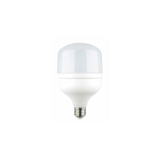 Optonica LED izzó E27 30W 3200lm 6000K T100 11893 izzó