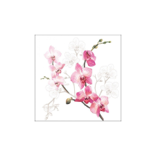 Orchid papírszalvéta 33x33cm, 20db-os asztalterítő és szalvéta