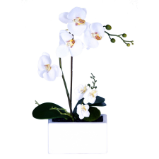  Orchidea cserépben krém 36 cm x 15 cm x 5 cm fa és növény