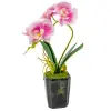  Orchidea cserepes gumi rózsaszín cirkás 28cm