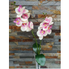  Orchidea gumis Phalaenopsis 2 ágú 2 leveles művirág 45 cm - Krém-Rózsaszín Pöttyös