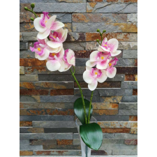  Orchidea gumis Phalaenopsis 2 ágú 2 leveles művirág 45 cm - Krém-Rózsaszín Pöttyös dekoráció