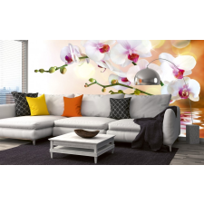 Orchidea, poszter tapéta 375*250 cm tapéta, díszléc és más dekoráció