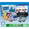 ORINK INK HP Refill Kit Cyan 30ml /ORINK/