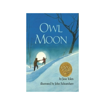 owl moon by jane yolen summary