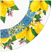  P.W.SDRR000700 Citrus Circle papírszalvéta 32cm, 12 db-os konyhai eszköz