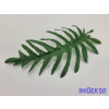  Páfrány levél 20 cm