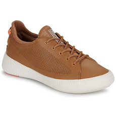 Palladium Rövid szárú edzőcipők PALLANOVA LTH Barna 40