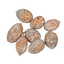  Pálma mag zúzmarás 13dkg/csom dekorációs kellék