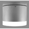 Palnas -66001494 BRUNO Szürke színű Kültéri Mennyezeti Lámpa xLED 10W IP54