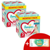 Pampers Premium Care Pants 2x havi Pelenkacsomag 6-11kg Midi 3 (288db) + Ajándék Törlőkendő
